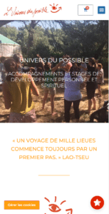 udp mobile