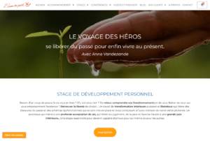 udp stage
