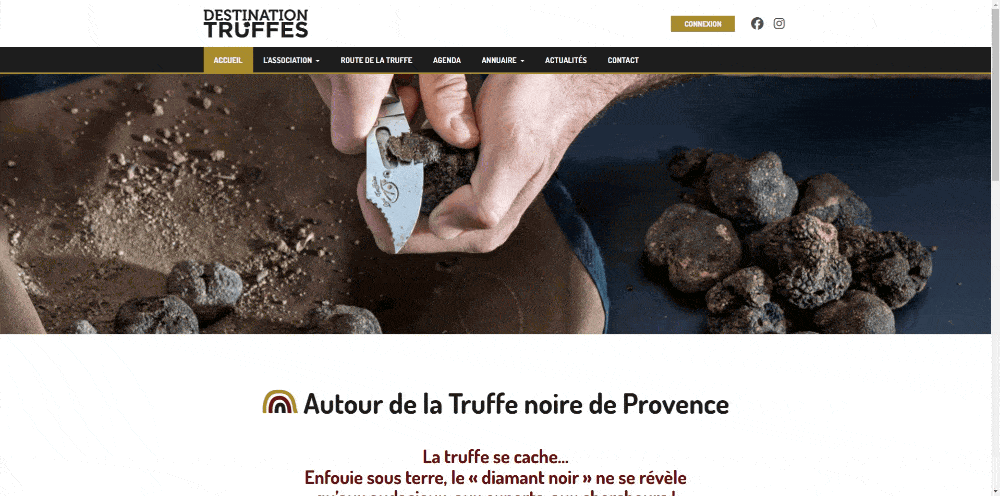 destination truffe site